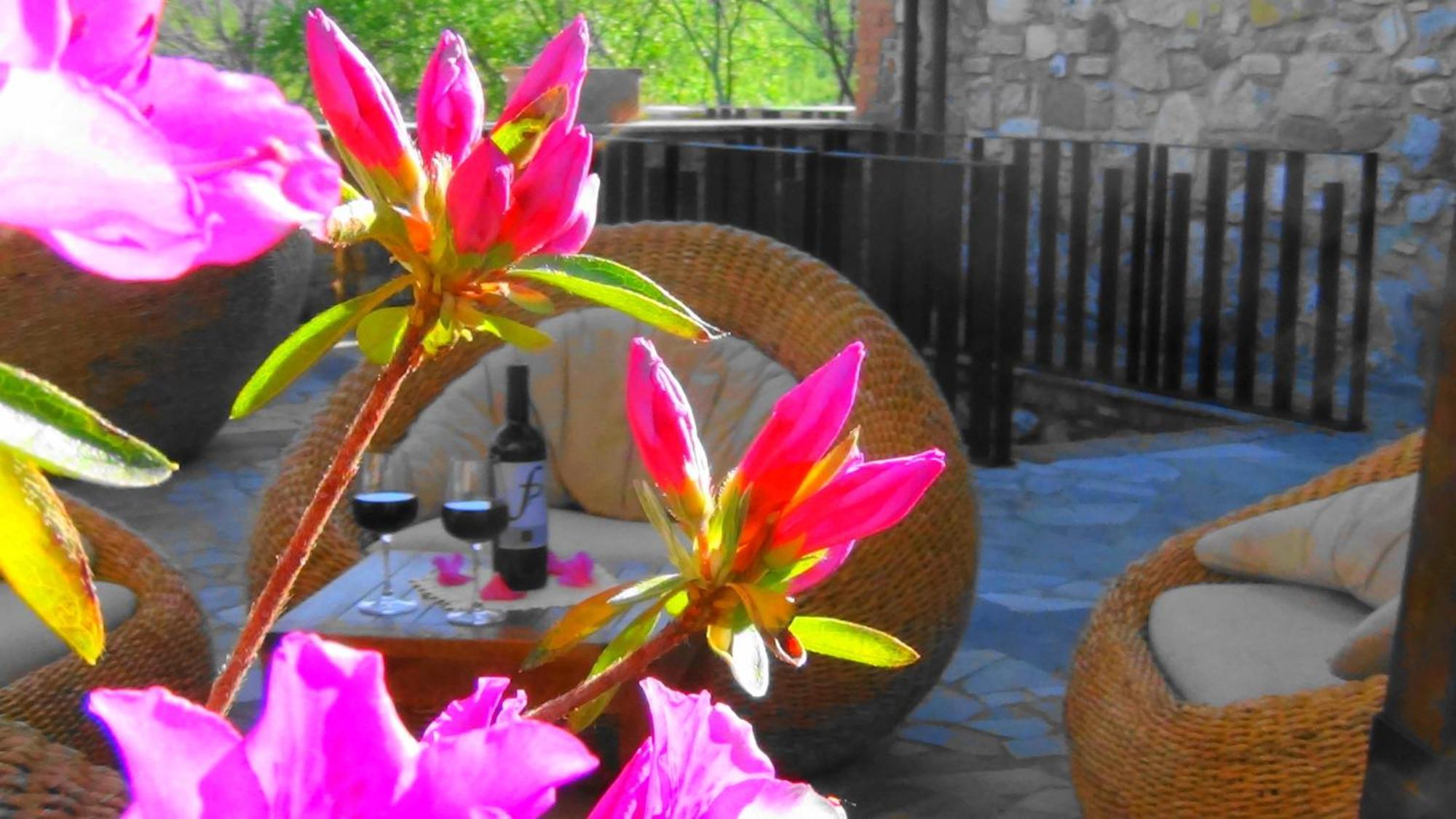 Fattoria Pianetti Guest House Manciano Exterior foto